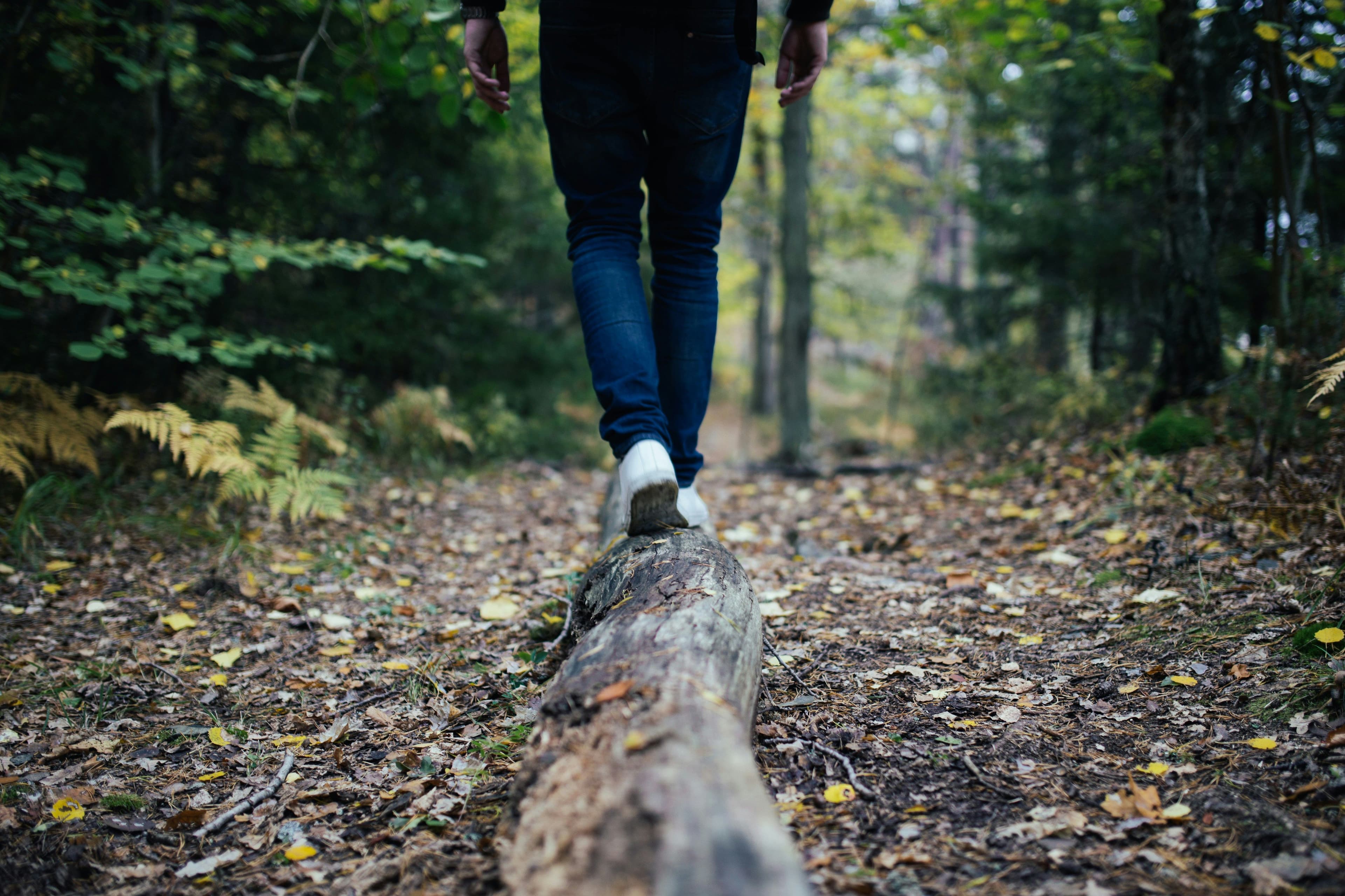 forest walking
